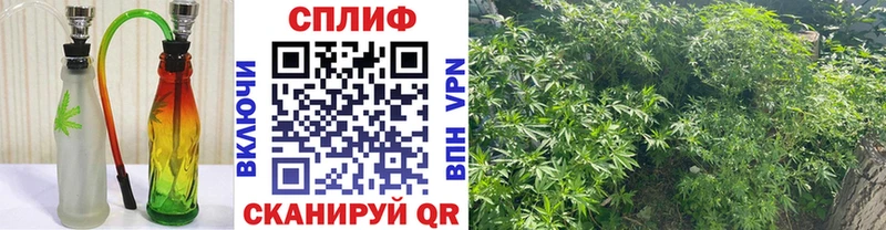 Как найти закладки Белокуриха Бошки Шишки COCAIN Гашиш NBOMe Меф мяу мяу А ПВП