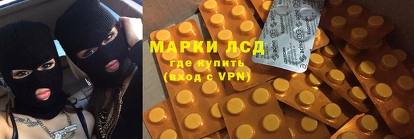 прущие грибы Белоозёрский
