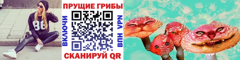 darknet состав  Белокуриха  Псилоцибиновые грибы Magic Shrooms 